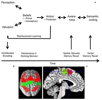 Believing and Beliefs—Neurophysiological Underpinnings